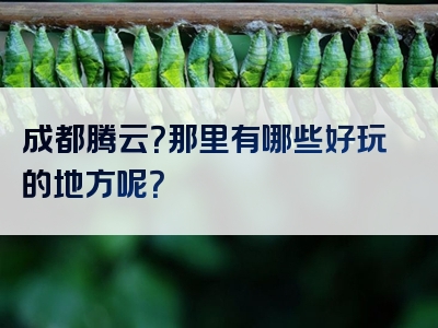 成都腾云？那里有哪些好玩的地方呢？