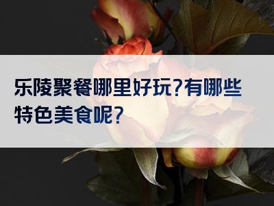 乐陵聚餐哪里好玩？有哪些特色美食呢？