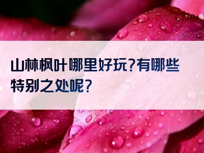 山林枫叶哪里好玩？有哪些特别之处呢？