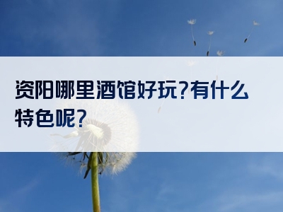 资阳哪里酒馆好玩？有什么特色呢？