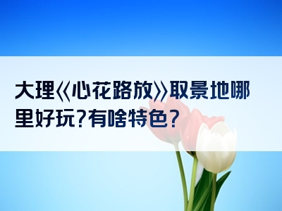 大理《心花路放》取景地哪里好玩？有啥特色？