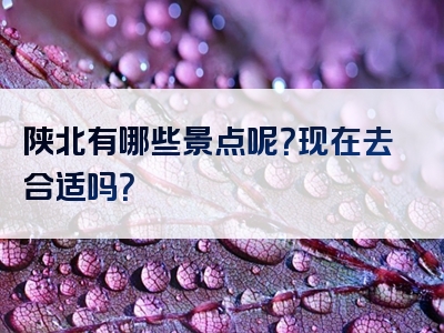 陕北有哪些景点呢？现在去合适吗？