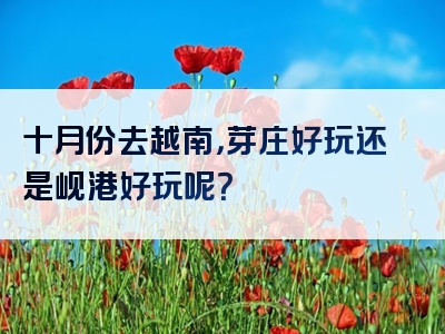 十月份去越南，芽庄好玩还是岘港好玩呢？