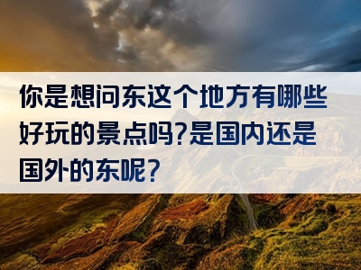 你是想问东这个地方有哪些好玩的景点吗？是国内还是国外的东呢？
