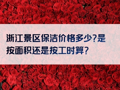 浙江景区保洁价格多少？是按面积还是按工时算？