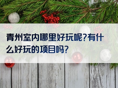 青州室内哪里好玩呢？有什么好玩的项目吗？