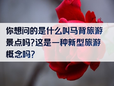 你想问的是什么叫马背旅游景点吗？这是一种新型旅游概念吗？