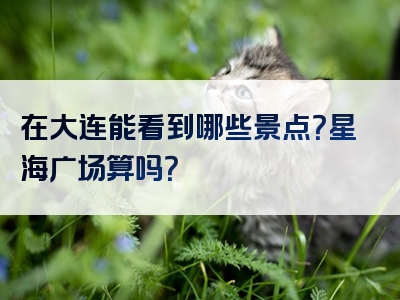 在大连能看到哪些景点？星海广场算吗？
