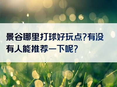 景谷哪里打球好玩点？有没有人能推荐一下呢？