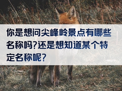 你是想问尖峰岭景点有哪些名称吗？还是想知道某个特定名称呢？