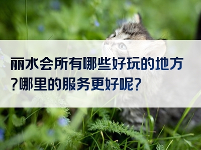 丽水会所有哪些好玩的地方？哪里的服务更好呢？