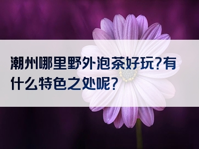 潮州哪里野外泡茶好玩？有什么特色之处呢？
