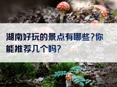 湖南好玩的景点有哪些？你能推荐几个吗？