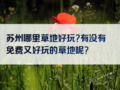 苏州哪里草地好玩？有没有免费又好玩的草地呢？