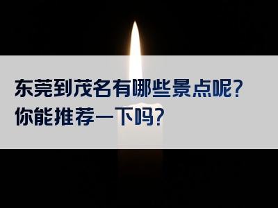 东莞到茂名有哪些景点呢？你能推荐一下吗？