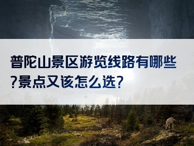 普陀山景区游览线路有哪些？景点又该怎么选？