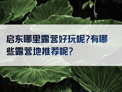 启东哪里露营好玩呢？有哪些露营地推荐呢？