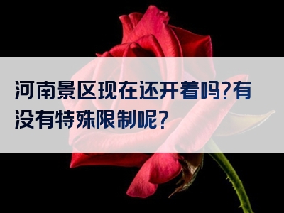 河南景区现在还开着吗？有没有特殊限制呢？
