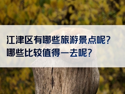 江津区有哪些旅游景点呢？哪些比较值得一去呢？
