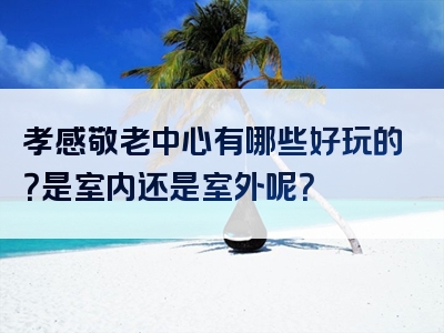 孝感敬老中心有哪些好玩的？是室内还是室外呢？