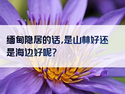缅甸隐居的话，是山林好还是海边好呢？