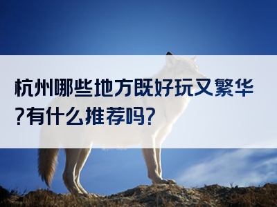 杭州哪些地方既好玩又繁华？有什么推荐吗？