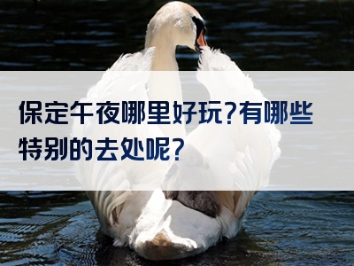 保定午夜哪里好玩？有哪些特别的去处呢？