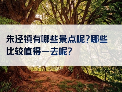 朱泾镇有哪些景点呢？哪些比较值得一去呢？