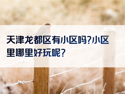 天津龙都区有小区吗？小区里哪里好玩呢？