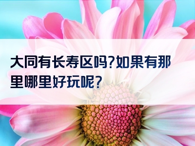 大同有长寿区吗？如果有那里哪里好玩呢？
