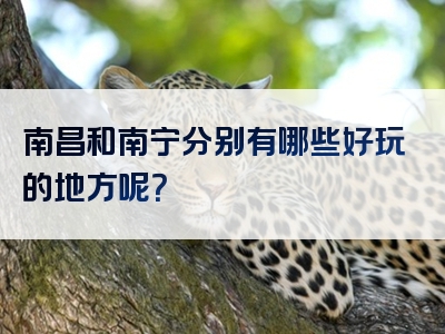 南昌和南宁分别有哪些好玩的地方呢？