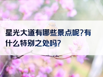 星光大道有哪些景点呢？有什么特别之处吗？