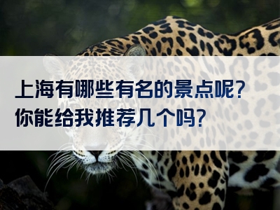上海有哪些有名的景点呢？你能给我推荐几个吗？