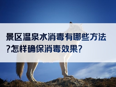景区温泉水消毒有哪些方法？怎样确保消毒效果？