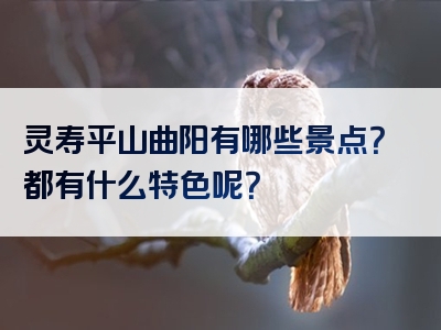 灵寿平山曲阳有哪些景点？都有什么特色呢？