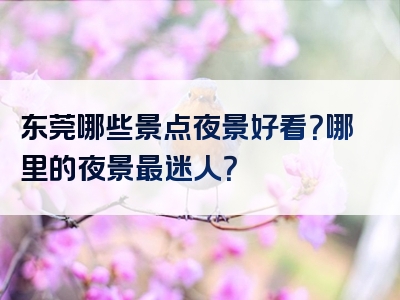 东莞哪些景点夜景好看？哪里的夜景最迷人？