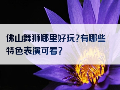 佛山舞狮哪里好玩？有哪些特色表演可看？