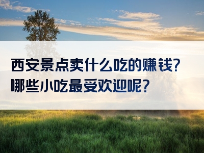 西安景点卖什么吃的赚钱？哪些小吃最受欢迎呢？