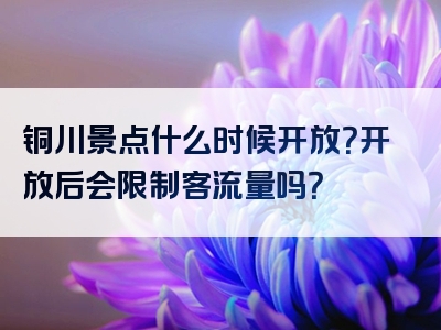 铜川景点什么时候开放？开放后会限制客流量吗？