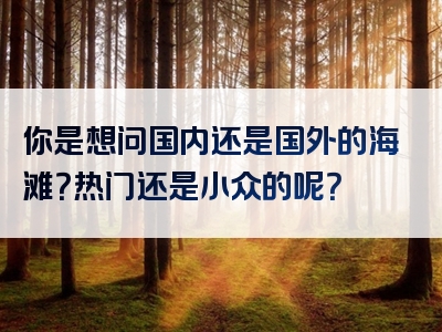 你是想问国内还是国外的海滩？热门还是小众的呢？