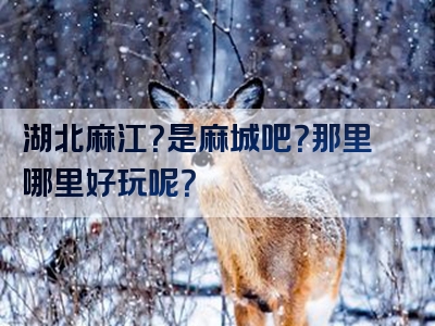 湖北麻江？是麻城吧？那里哪里好玩呢？
