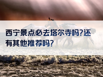 西宁景点必去塔尔寺吗？还有其他推荐吗？