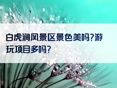 白虎涧风景区景色美吗？游玩项目多吗？