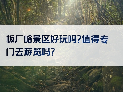 板厂峪景区好玩吗？值得专门去游览吗？