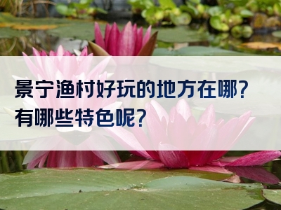 景宁渔村好玩的地方在哪？有哪些特色呢？