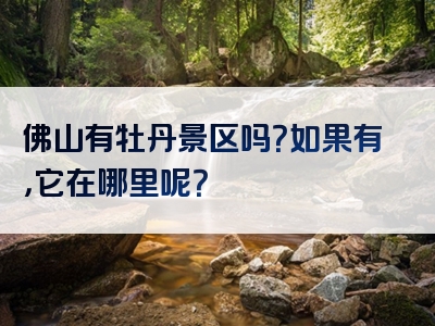 佛山有牡丹景区吗？如果有，它在哪里呢？