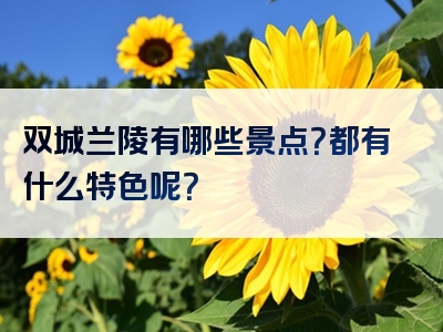 双城兰陵有哪些景点？都有什么特色呢？
