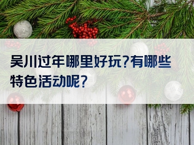 吴川过年哪里好玩？有哪些特色活动呢？