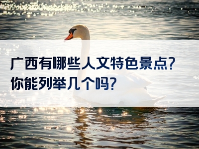 广西有哪些人文特色景点？你能列举几个吗？