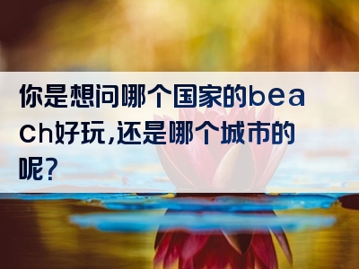 你是想问哪个国家的beach好玩，还是哪个城市的呢？